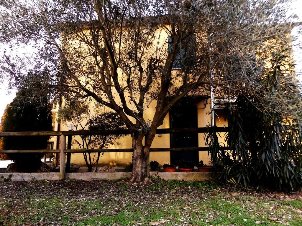 Bed and Breakfast il Casale di Nonno Guido Monterado Esterno foto