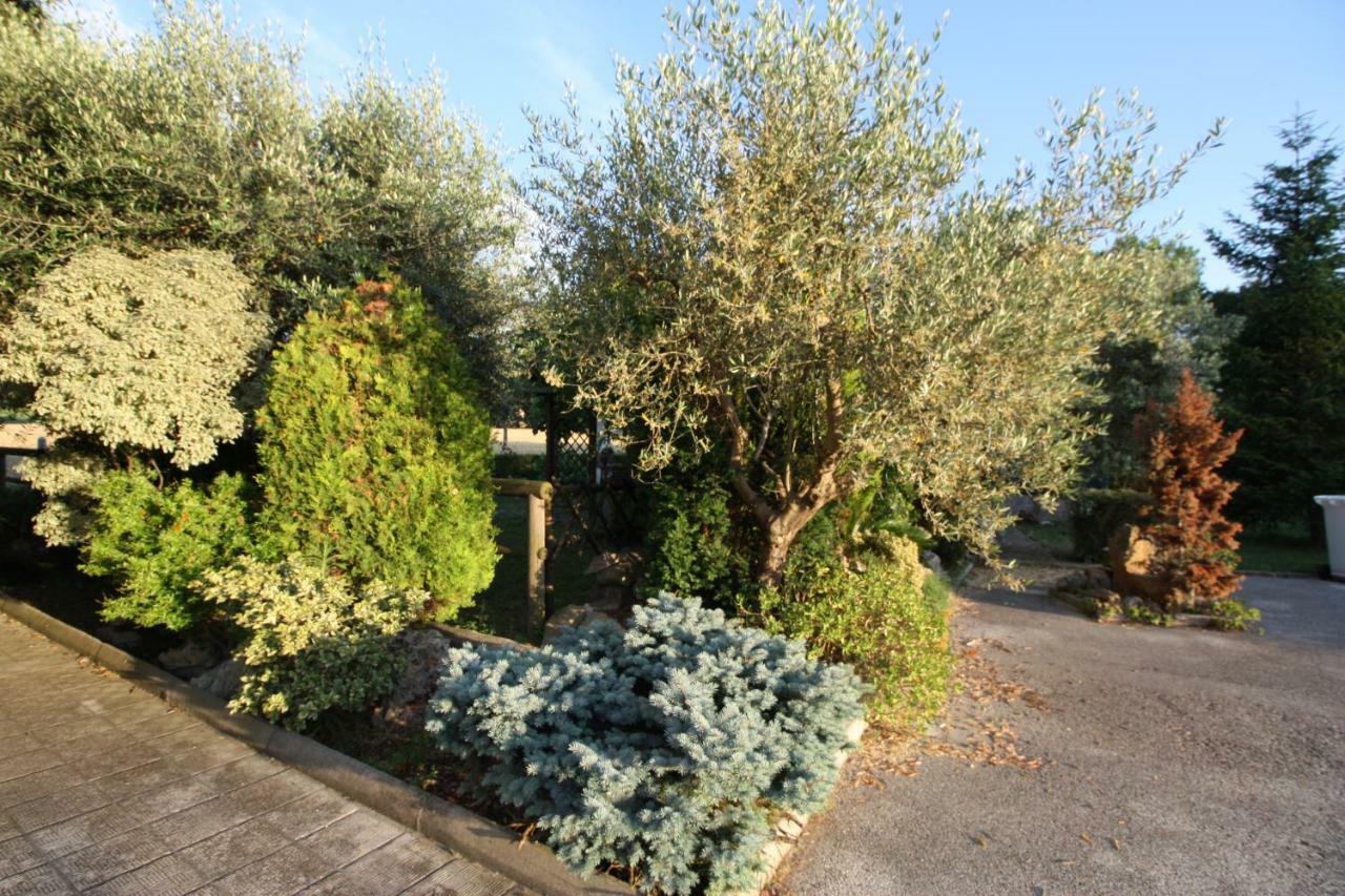 Bed and Breakfast il Casale di Nonno Guido Monterado Esterno foto
