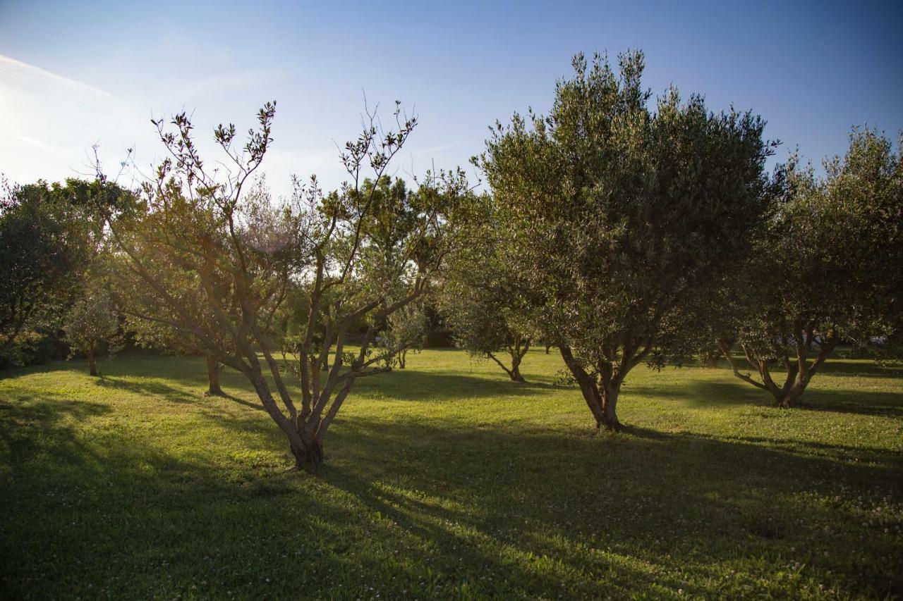 Bed and Breakfast il Casale di Nonno Guido Monterado Esterno foto