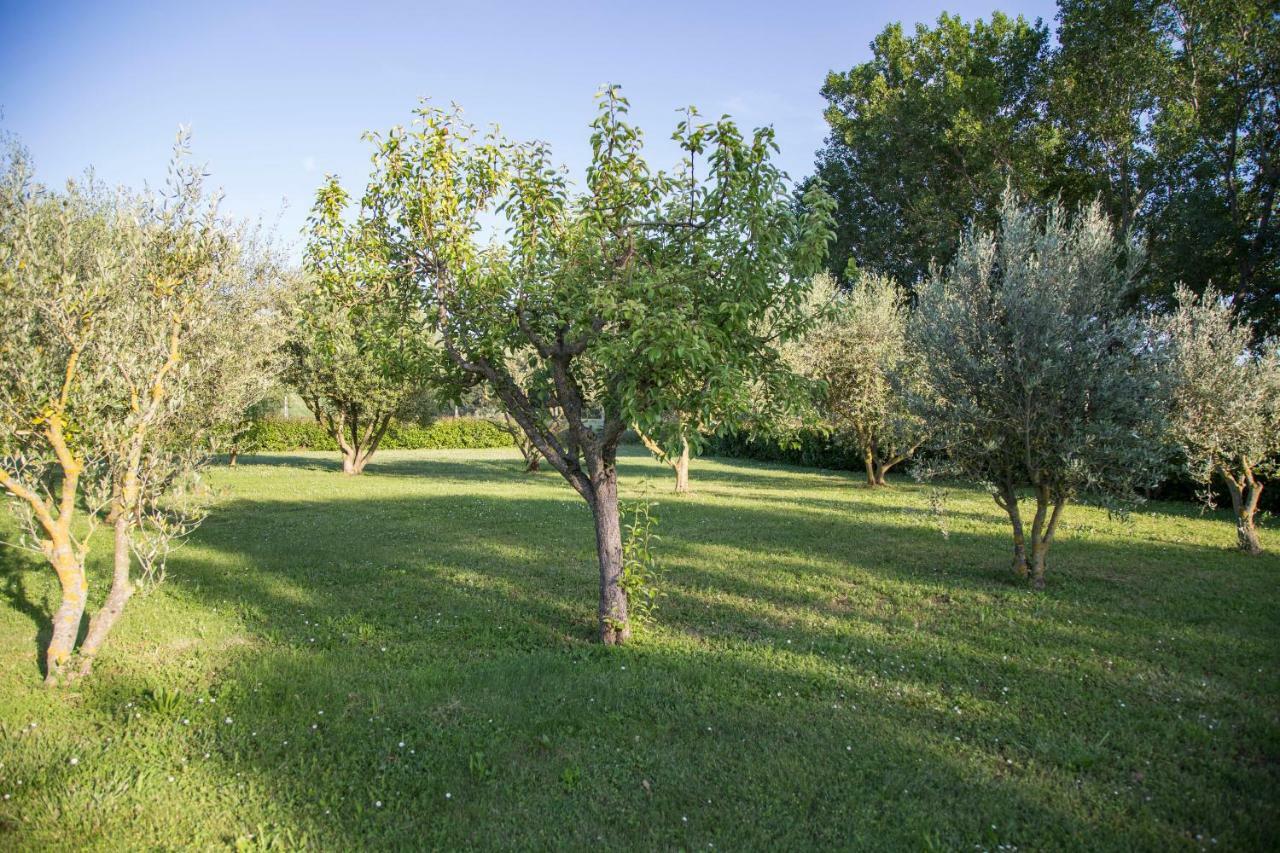 Bed and Breakfast il Casale di Nonno Guido Monterado Esterno foto