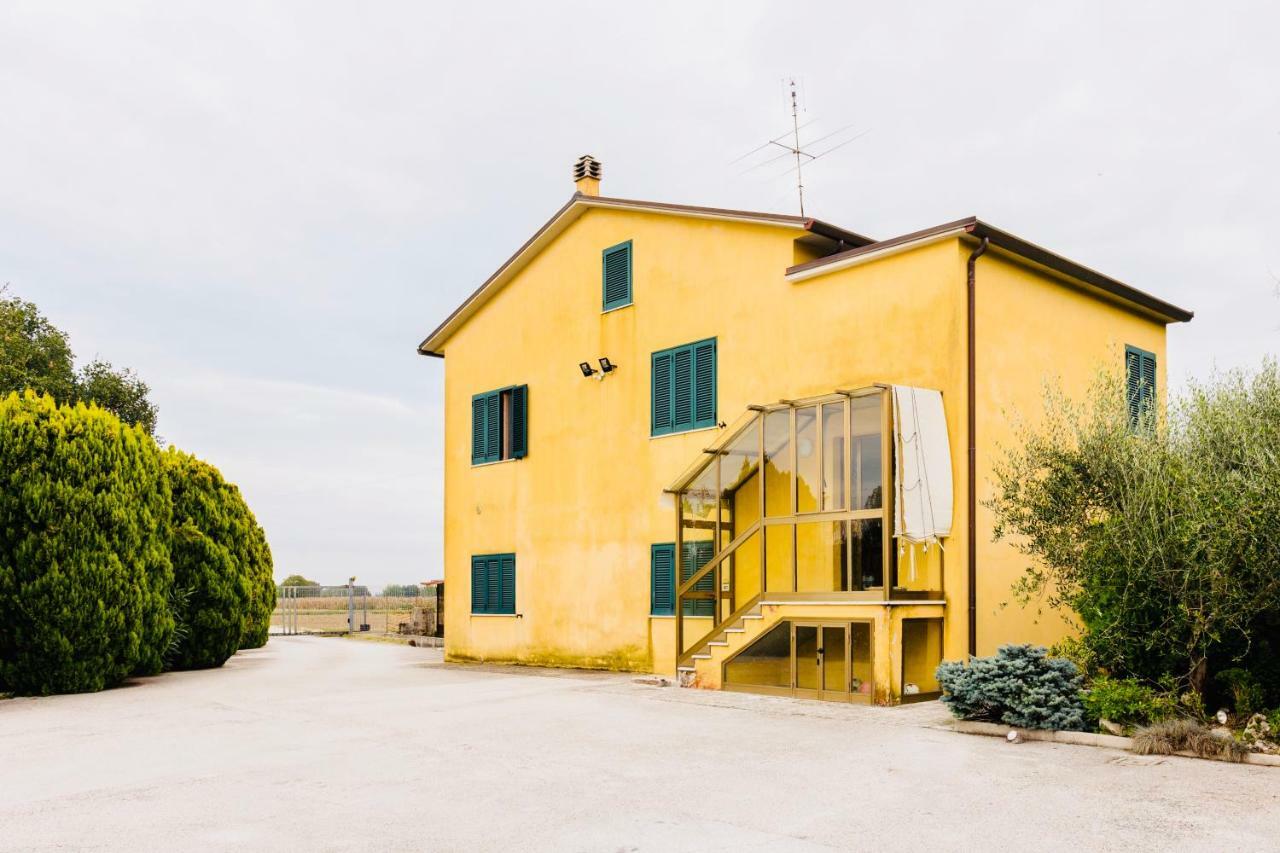 Bed and Breakfast il Casale di Nonno Guido Monterado Esterno foto