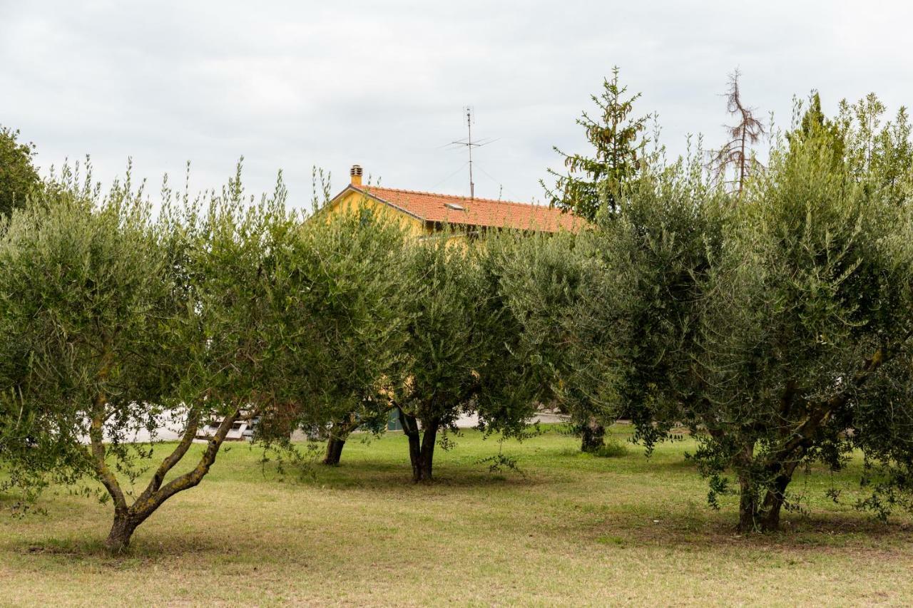Bed and Breakfast il Casale di Nonno Guido Monterado Esterno foto