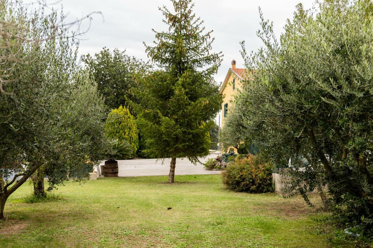 Bed and Breakfast il Casale di Nonno Guido Monterado Esterno foto