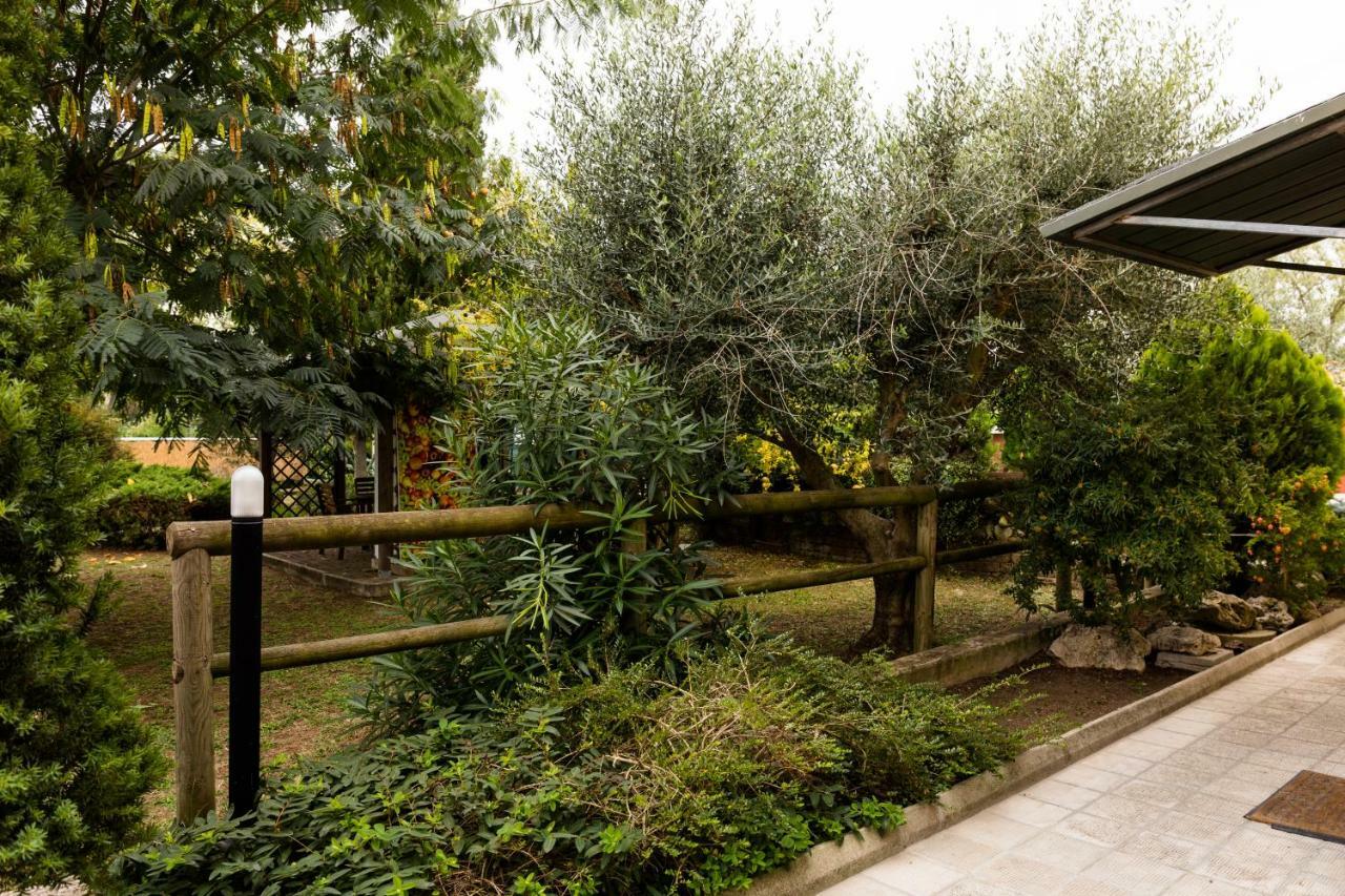 Bed and Breakfast il Casale di Nonno Guido Monterado Esterno foto